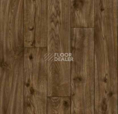 Ковролин Forbo Flotex Vision Naturals 010056 Stained Pine фото 1 | FLOORDEALER